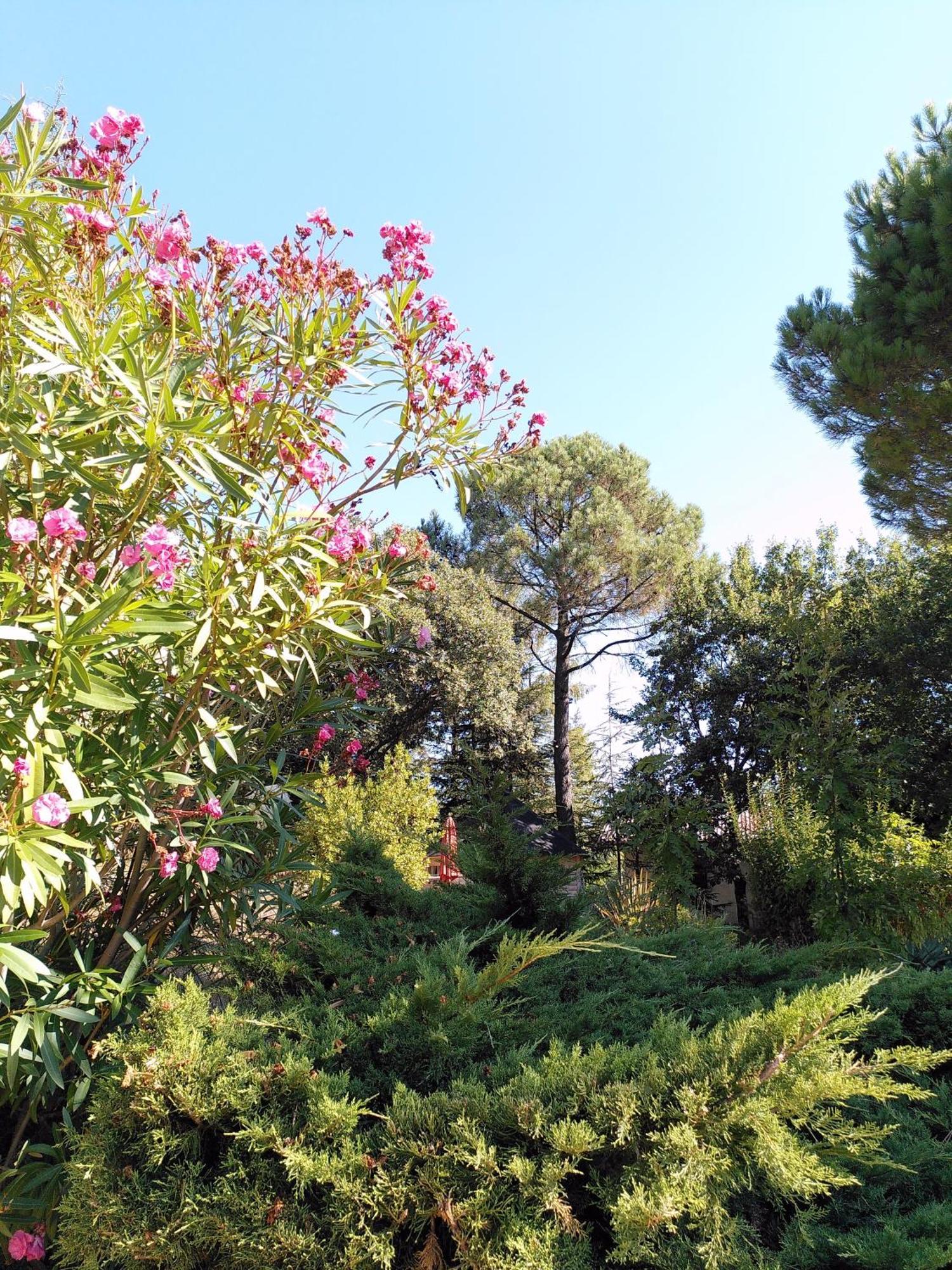 Brin D Ardeche Bed & Breakfast Lentilleres Екстериор снимка